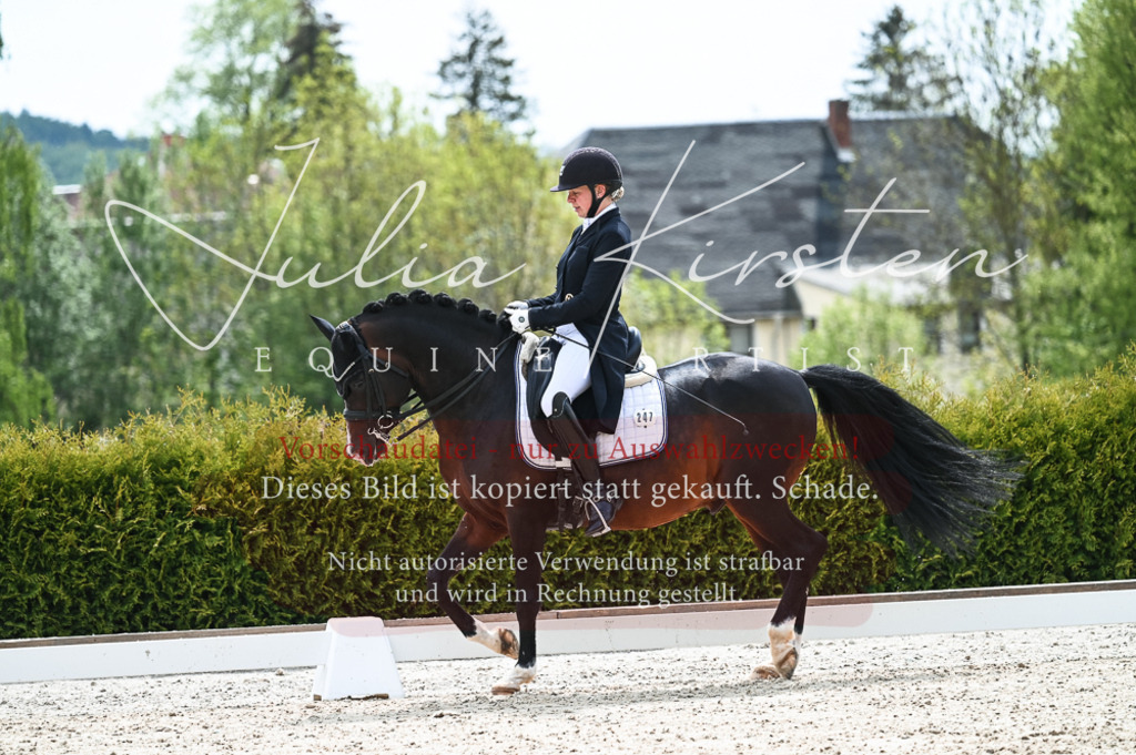 20230514_JK-Röhrsdorf-19-199 | Pferde- und Turnierfotografie in Westsachsen. Pferdeportraits, Auftragszeichnungen und intuitive Kunst.