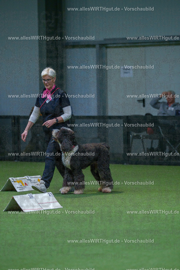 7R502688 | Professionelle Tierfotografie in Mönchengladbach von Daniel Wirth (allesWIRTHgut). Liebevolle & natürliche Bilder von Hunden & Katzen für unvergessliche Erinnerungen.