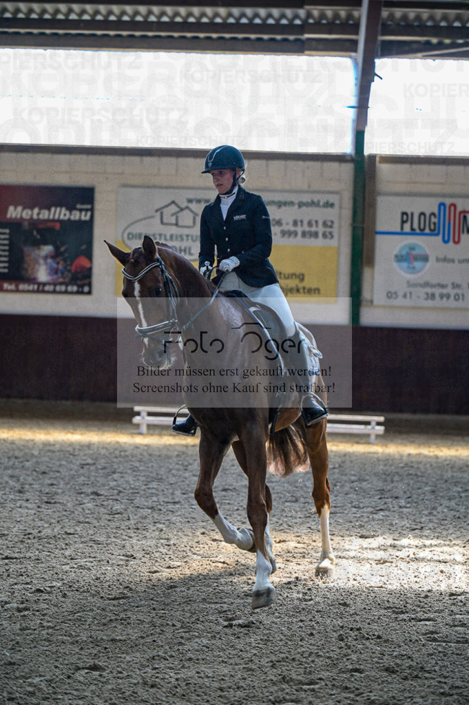 Reitturnier Voxtrup | Entdecke hochwertige Reitturnierfotos von Foto Oger. Professionell, emotional und authentisch – jetzt Lieblingsmomente im Shop bestellen.Deutschlandweite Turnierfotografie. - Realisiert mit Pictrs.com