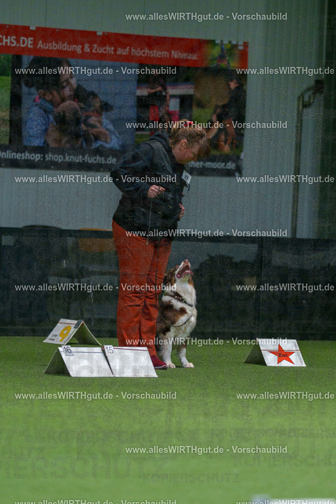 7R508237 | Professionelle Tierfotografie in Mönchengladbach von Daniel Wirth (allesWIRTHgut). Liebevolle & natürliche Bilder von Hunden & Katzen für unvergessliche Erinnerungen.