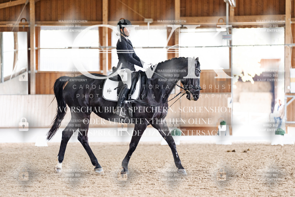 CK901086 | Turnierfotografie Pferdefotografie Trier Rheinland-Pfalz Pferdesport Reitsport Tierfotografie Sportfotografie Pferdevideo Pferdevideografie Equestrianvideography equestrianphotography  - Realisiert mit Pictrs.com