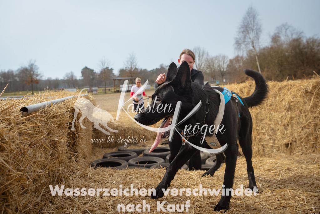 1126_ZZ93533 | kk-dogfotos