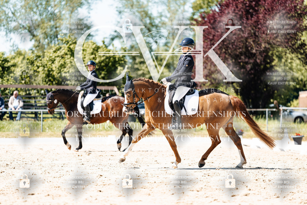 CK905642 | Turnierfotografie Pferdefotografie Trier Rheinland-Pfalz Pferdesport Reitsport Tierfotografie Sportfotografie Pferdevideo Pferdevideografie Equestrianvideography equestrianphotography  - Realisiert mit Pictrs.com