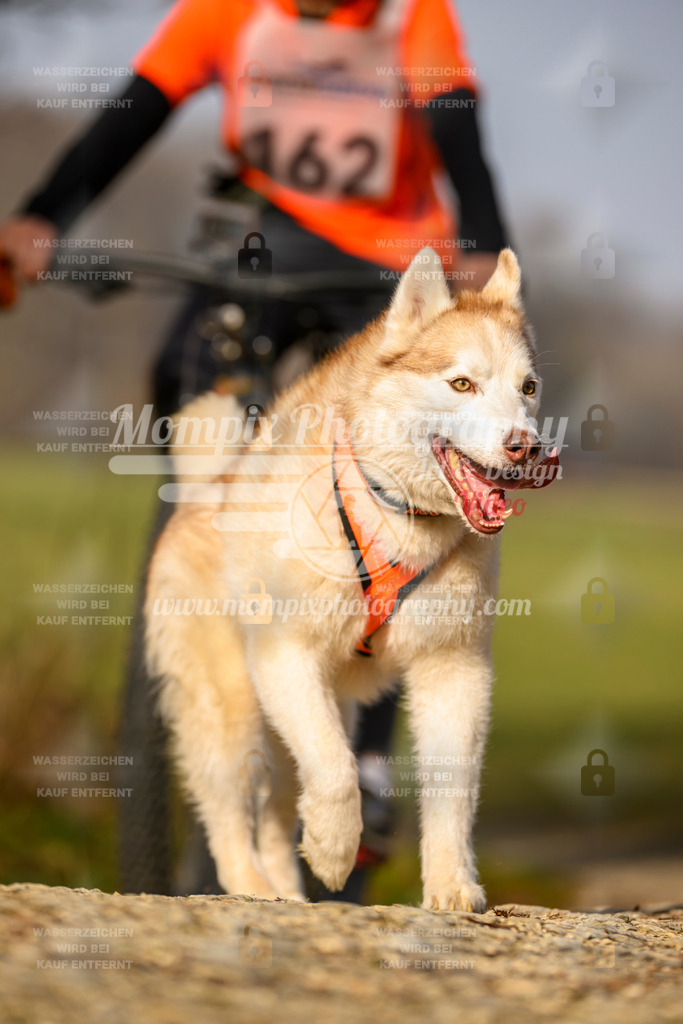 MompixPhotography_6ReiatRennen2026_SA_HappyDog-109 | PayLife