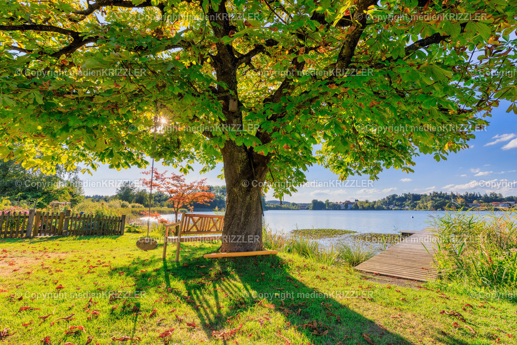 Kloster Seeon | medienkrizzler - Realisiert mit Pictrs.com