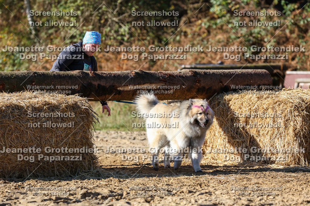 Dog Paparazzi - Strongdog 10-25-2562 | Dog Paparazzi Jeanette Grottendiek Fotografie & Videografie - Realisiert mit Pictrs.com