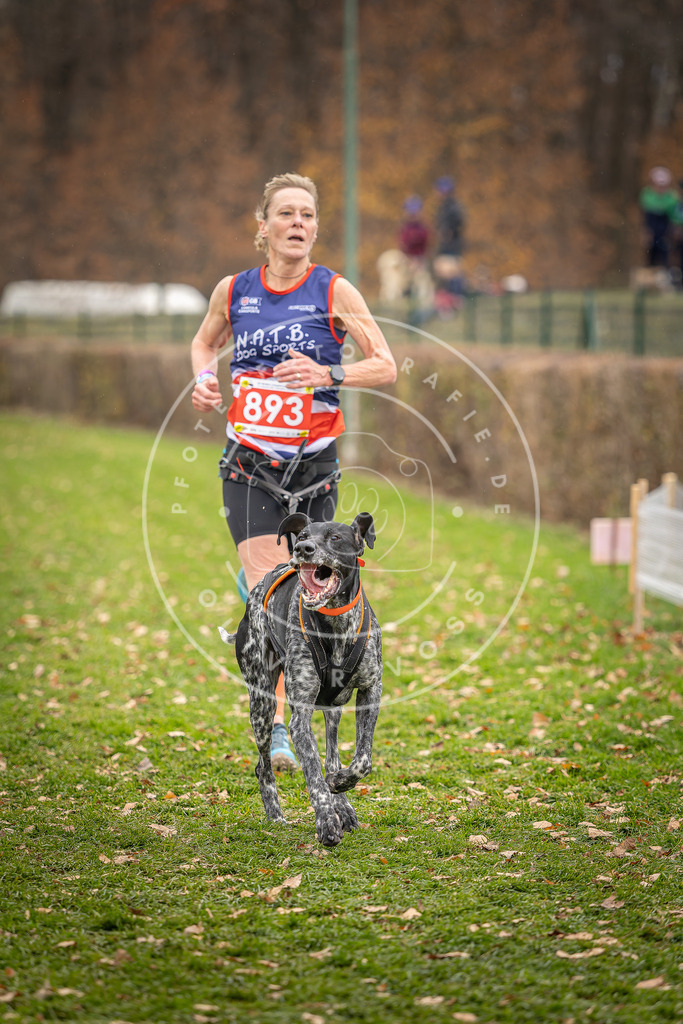 CaniXpix_DV3A6834 | Hundefotografie, Tierfotograf, Pfotenfotografie, Fotoshooting Hund, Hunde Portrait, Hundesport, Hundeportraits, Heideshooting, Hunde, Sportfotograf, Hundefotograf, Turnierhundsport, THS,  - Realisiert mit Pictrs.com