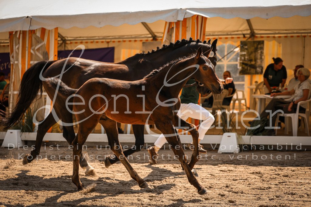 07.DoWBS00062 | Leoni Ertmer Photography - Realisiert mit Pictrs.com