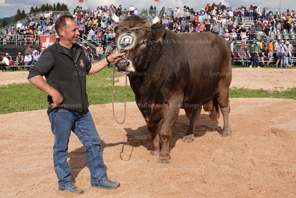 DSC01072 | Schwingen - Realisiert mit Pictrs.com