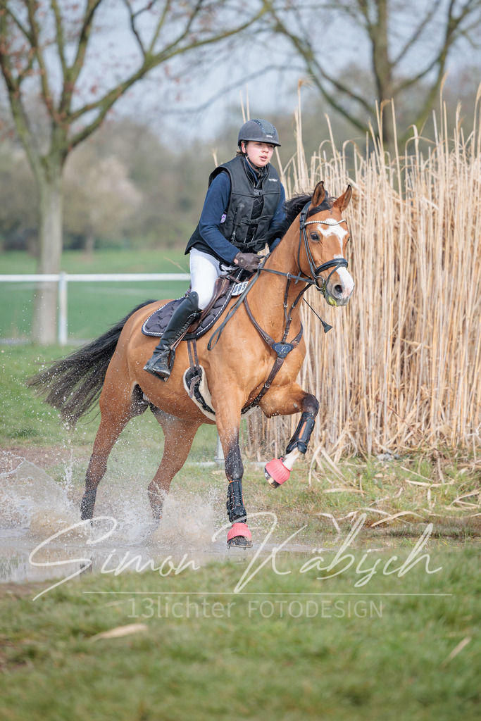 20260329-_3LI3520 | Tierfotografie Pferde, Hunde, Katzen, Haustiere.
Turnierfotografie Reitturniere, Reiten, Springreiten, Dressur in Hanau, dem Main-Kinzig-Kreis und dem Rhein-Main- Gebiet um Frankfurt