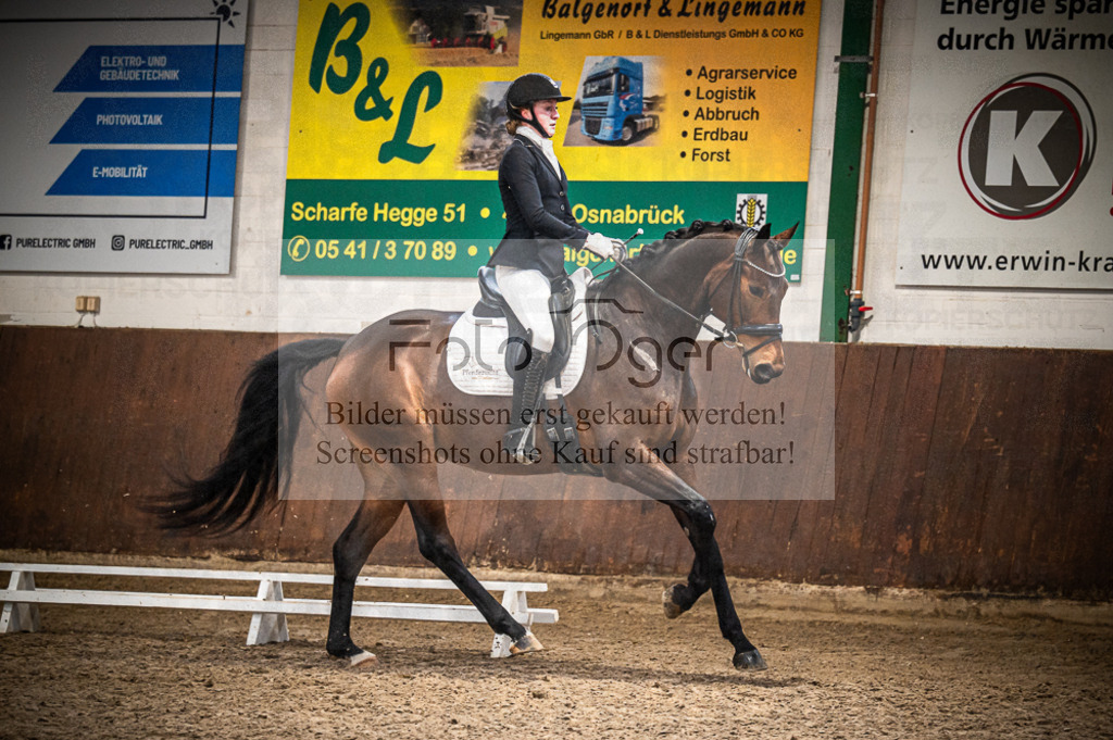 Hallenreittunier Voxtrup 2023 | Entdecke hochwertige Reitturnierfotos von Foto Oger. Professionell, emotional und authentisch – jetzt Lieblingsmomente im Shop bestellen. - Realisiert mit Pictrs.com