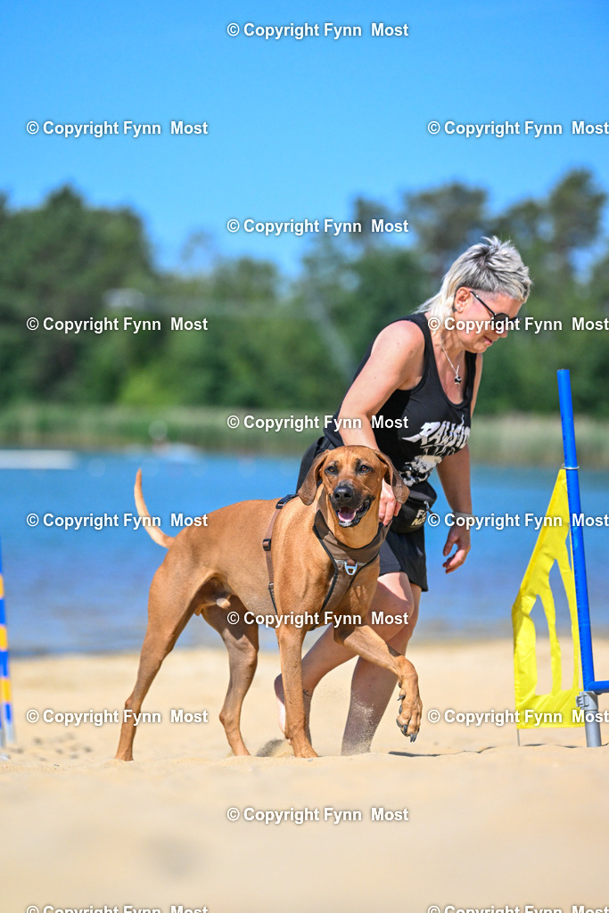 DSC_9030 | Hallo und herzlich Willkommen auf meiner Shop-Seite Fynn Most.

Ich wünsche Dir viel Spaß beim stöbern durch die Bilder, wenn Du Fragen hast oder Bilder vermisst, kannst du mir gerne eine Nachricht schreiben. - Realisiert mit Pictrs.com