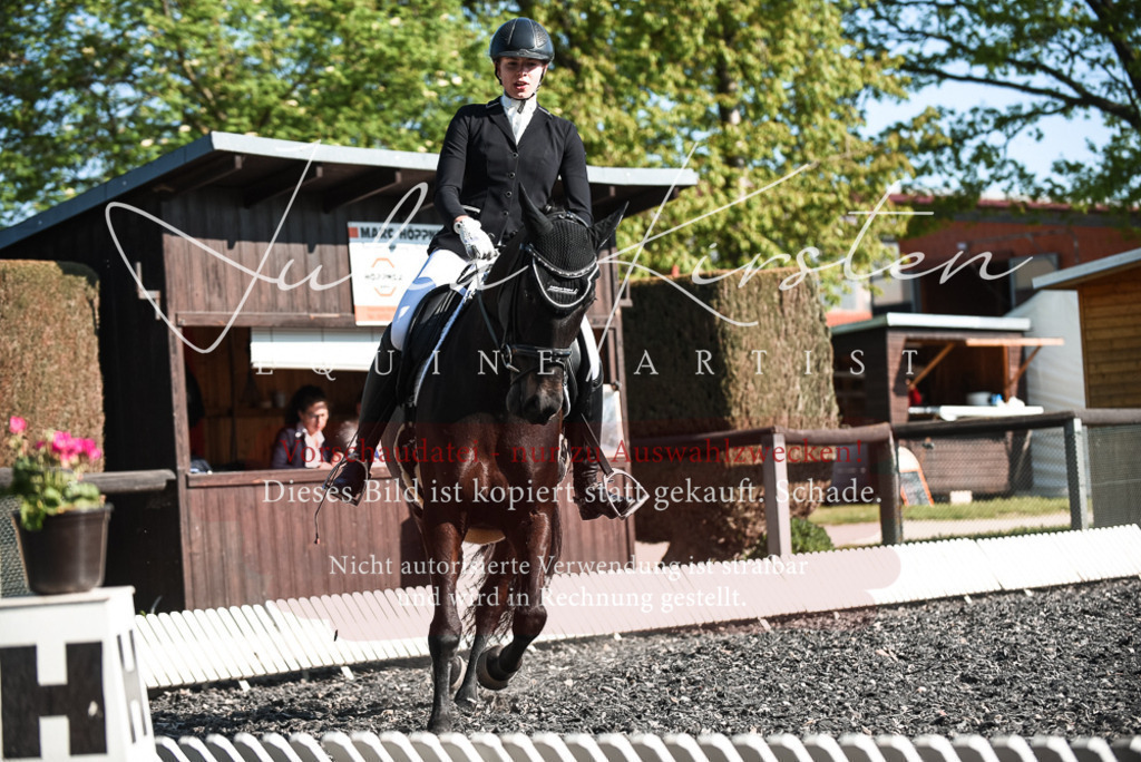 DSC_8377 | Pferde- und Turnierfotografie in Westsachsen. Pferdeportraits, Auftragszeichnungen und intuitive Kunst.