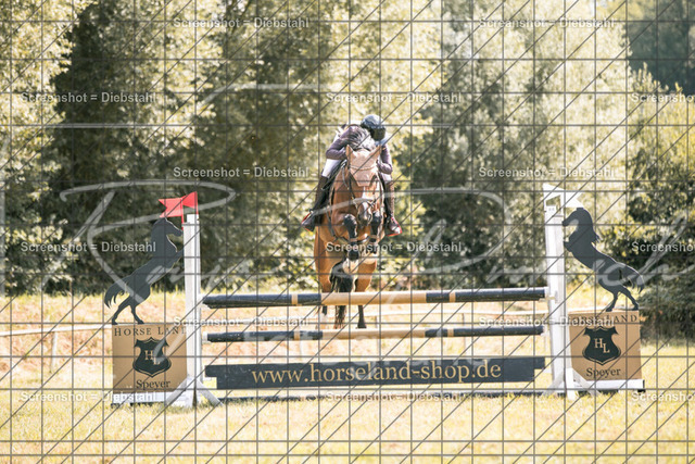 _W6A8743 | ronjaprokoschfotografie - Realisiert mit Pictrs.com