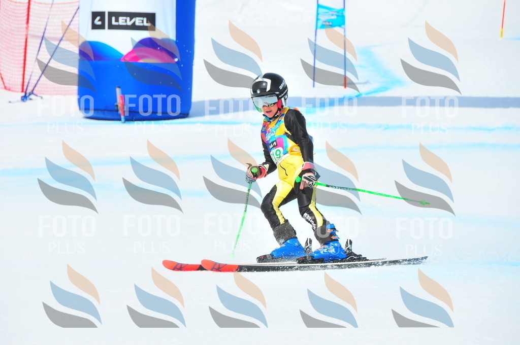 DSC_2935 | holidayphoto