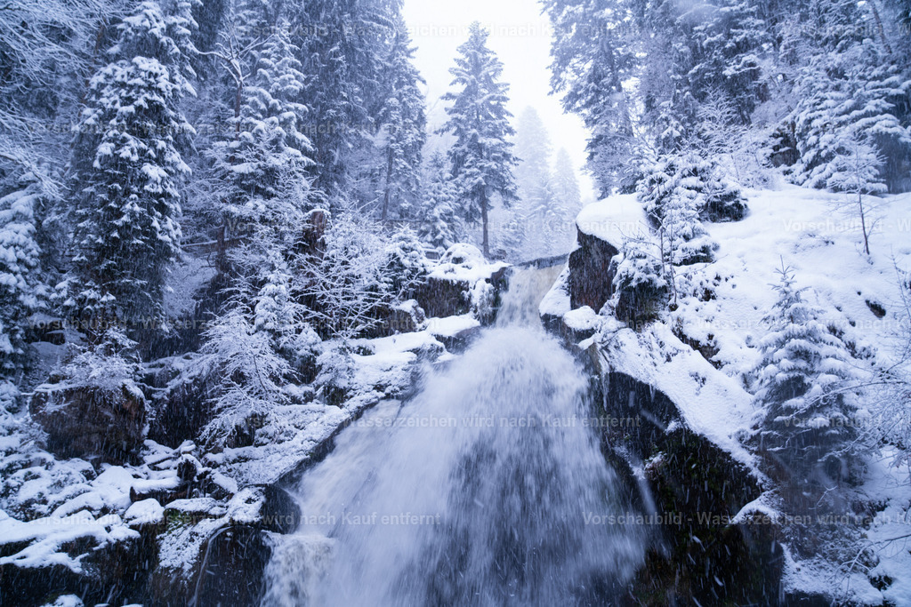 DSC01125-2 | marcuslinek