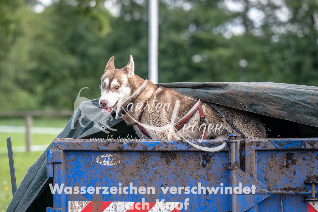 1240_ZZ90241 | kk-dogfotos