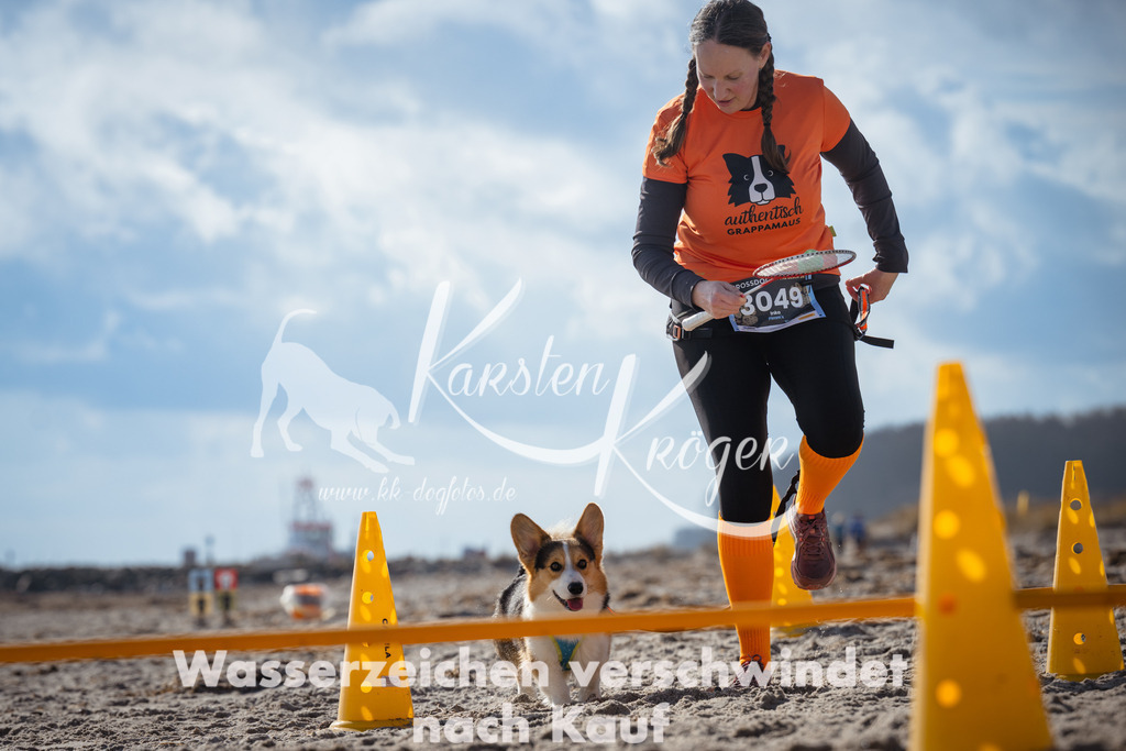 1252_ZZ99345 | kk-dogfotos