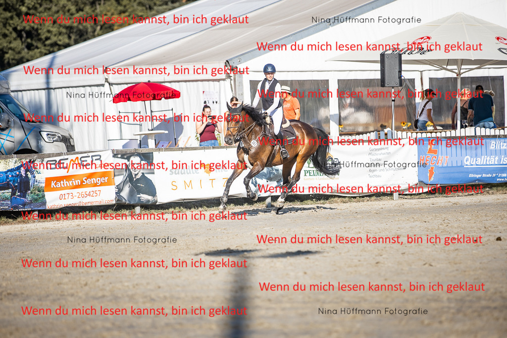 BK1A8679 | Turnierbilder Turnierfotos Nina Hüffmann Turnierfotografie Pferdefotografie Tierzeichnung Haustierzeichnung Pferdezeichnung Hundezeichnung Videograf  - Realisiert mit Pictrs.com
