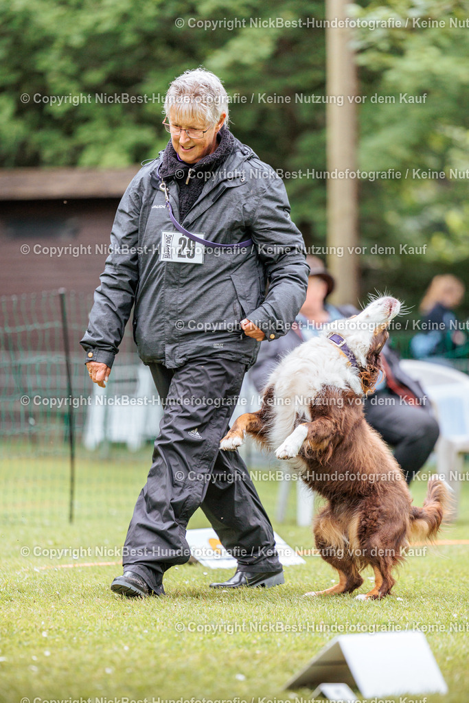 RO-Blumenthal-2026-Nickbest-Hundefotografie-2363 | Dein Hund! Dein Moment! Deine Erinnerungen! Hundefotografie in Bremen Blumenthal. Ich fange die besonderen Momente deines Vierbeiners ein – ob Indoor mit Blitzanlage oder in der freien Natur. Sicher dir dein Moment und dein Termin für eure Erinnerungen.