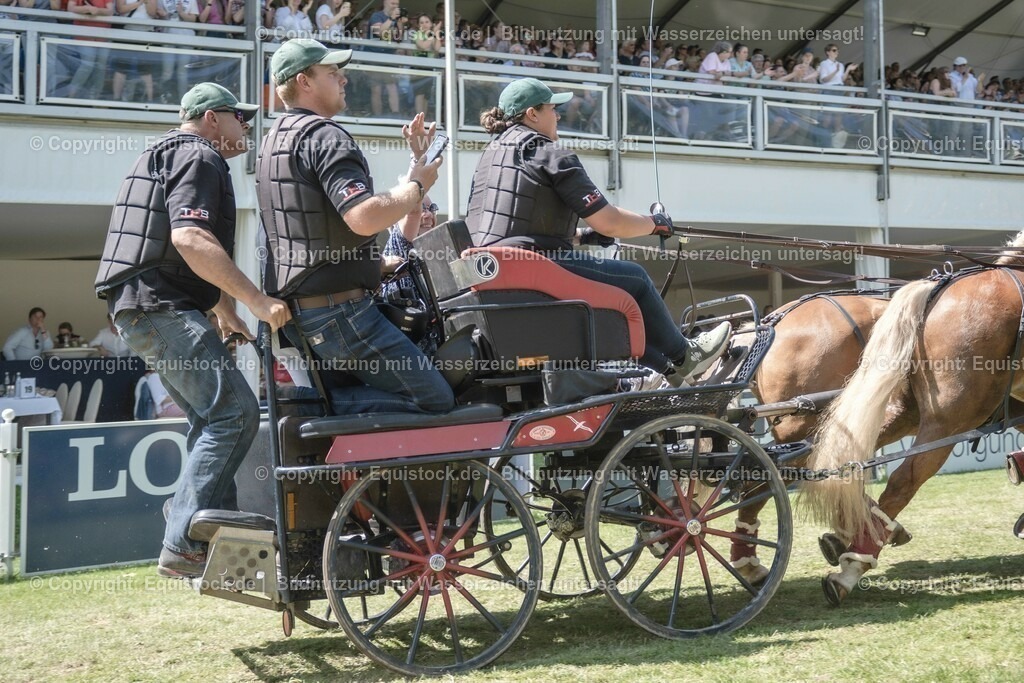 20230528_Jump-and-Drive_0268 | equistock