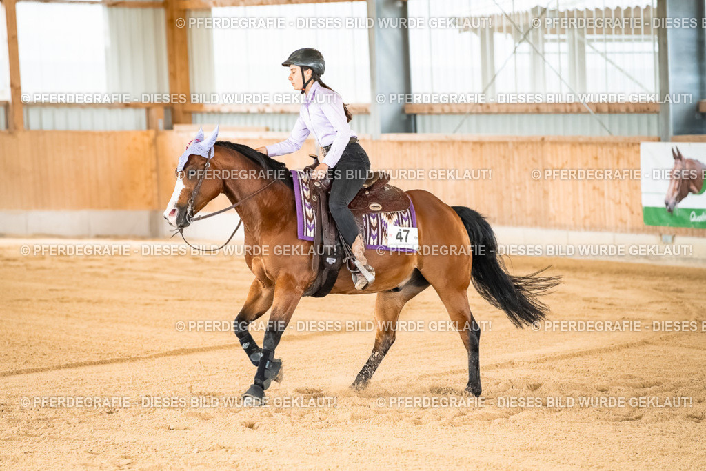 DSC02032 | Pferdegrafie