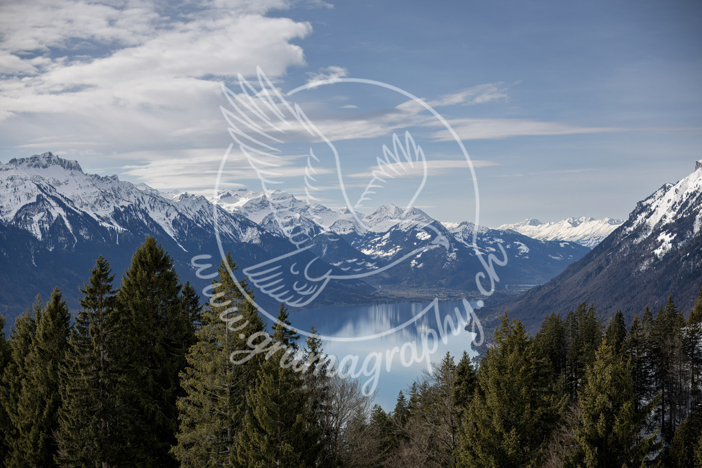 the quiet divide - switzerland | Authentische Landschafts- & Wildtierfotografie aus der Schweiz. Hochwertige Wandbilder, Fine-Art-Prints und Wunschmotive nach Auftrag – sorgfältig entwickelt im Grumagraphy-Style