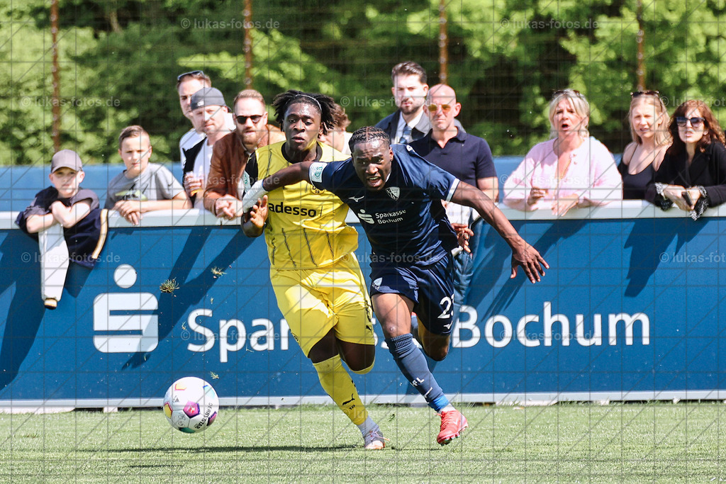 VfL Bochum U19 - Borussia Dortmund | Fotos vom DM-Achtelfinale der U19-Junioren des VfL Bochum gegen Borussia Dortmund.
 - Realisiert mit Pictrs.com