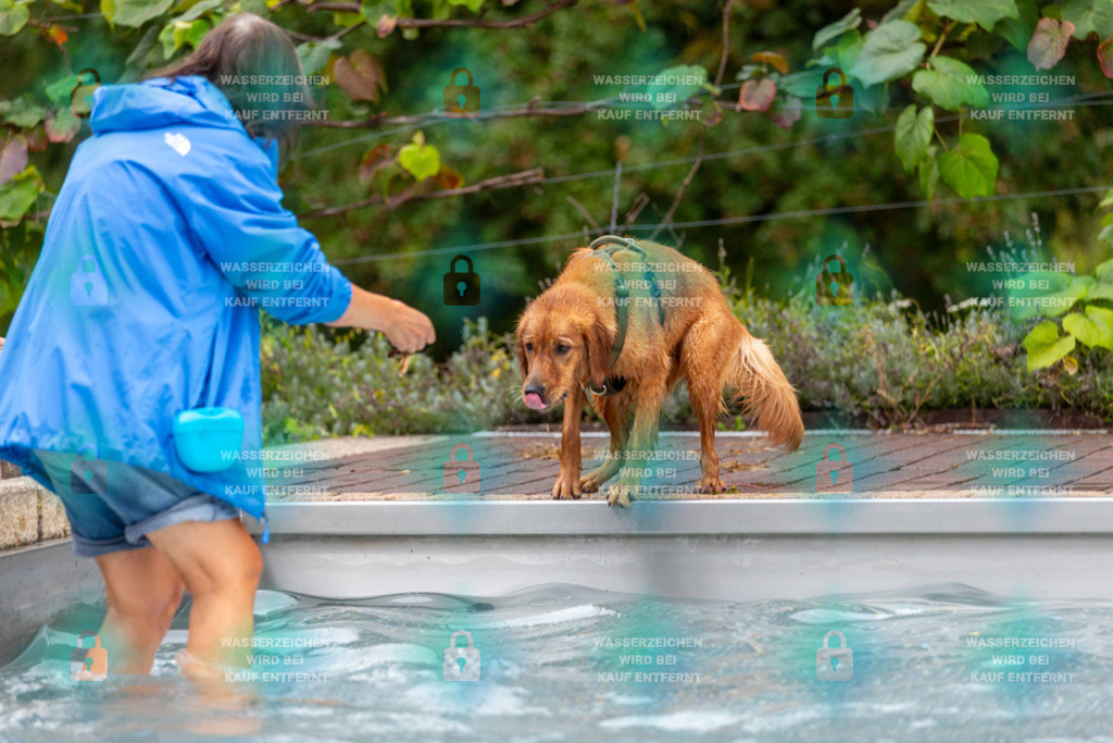 _HP_6205_1000o | HetPix, HetPix Fotodesign, Fotografie, Fotodesign, Webshop, Sportfotografie, Portraitfotografie, Onlineshop, Sportfotografie, Polch, Motorsportfotografie, Eventfotografie