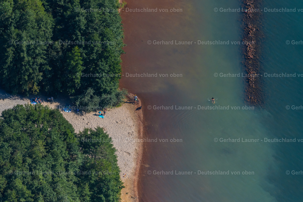 4042055 | BRAUNSBEDRA 08.09.2021 Rekultivierung der ehemaligen Tagebau - Fläche an den Uferbereichen des Sees " Geiseltalsee " in Braunsbedra im Bundesland Sachsen-Anhalt, Deutschland. // Open pit re cultivation on the shores of the lake " Geiseltalsee " in Braunsbedra in the state Saxony-Anhalt, Germany. Foto: Gerhard Launer