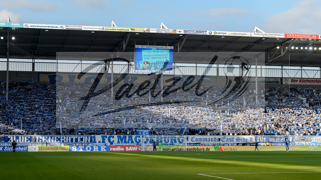 FCMFCK20210904_101 | Fussball, Herren: . Fans vom 1. FC Magdeburg beim Spiel der 3. Liga zwischen 1. FC Magdeburg und 1. FC Kaiserslautern in der MDCC-Arena am 04.09.2021 in Magdeburg, Deutschland.DFB / DFL REGULATIONS PROHIBIT ANY USE OF PHOTOGRAPHS AS IMAGE SEQUENCES AND/OR QUASI-VIDEO. - Realisiert mit Pictrs.com