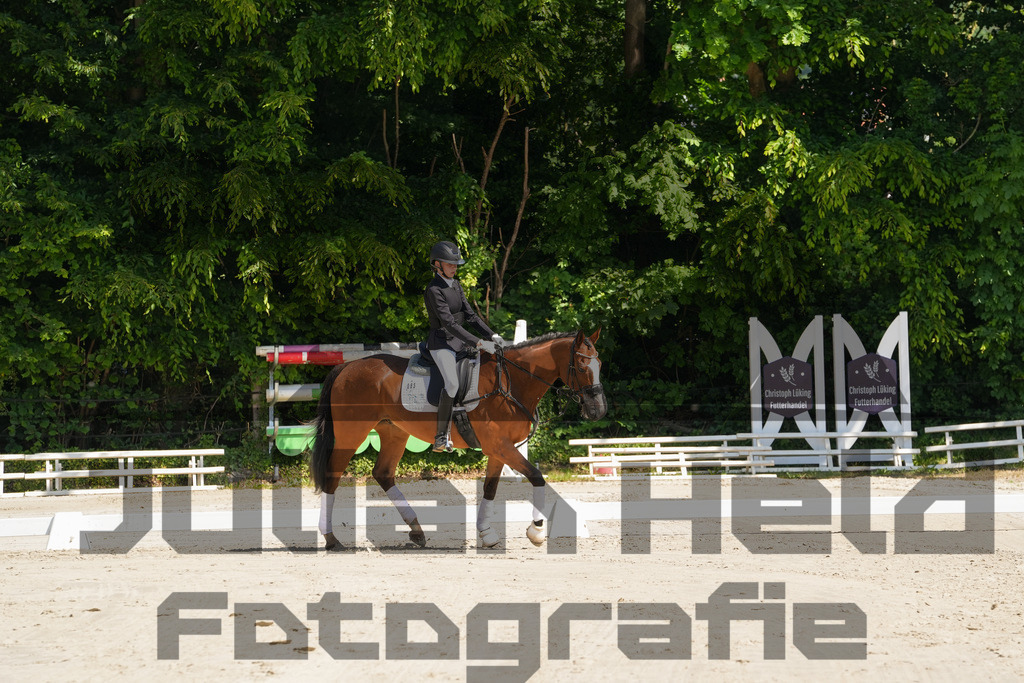 DSC03185 | Julian Held Fotografie - Realisiert mit Pictrs.com