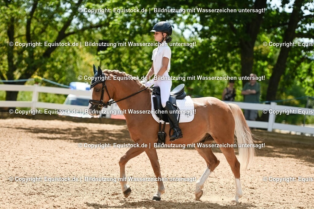 20230715_09_Dressur-WB_0252 | equistock