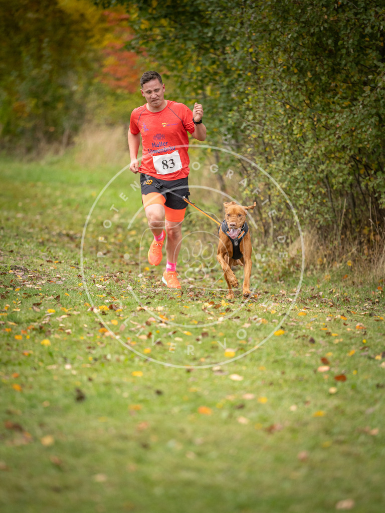 Pfotenfotografie_DV3A3089 | Hundefotografie, Tierfotograf, Pfotenfotografie, Fotoshooting Hund, Hunde Portrait, Hundesport, Hundeportraits, Heideshooting, Hunde, Sportfotograf, Hundefotograf, Turnierhundsport, THS,  - Realisiert mit Pictrs.com