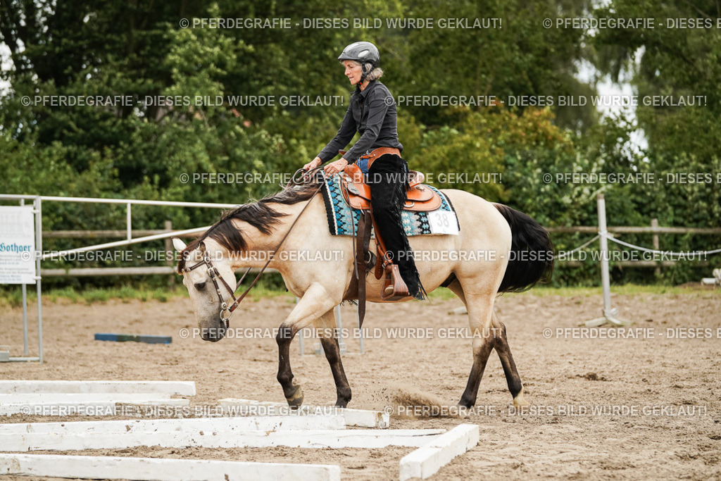 DSC08316 | Pferdegrafie