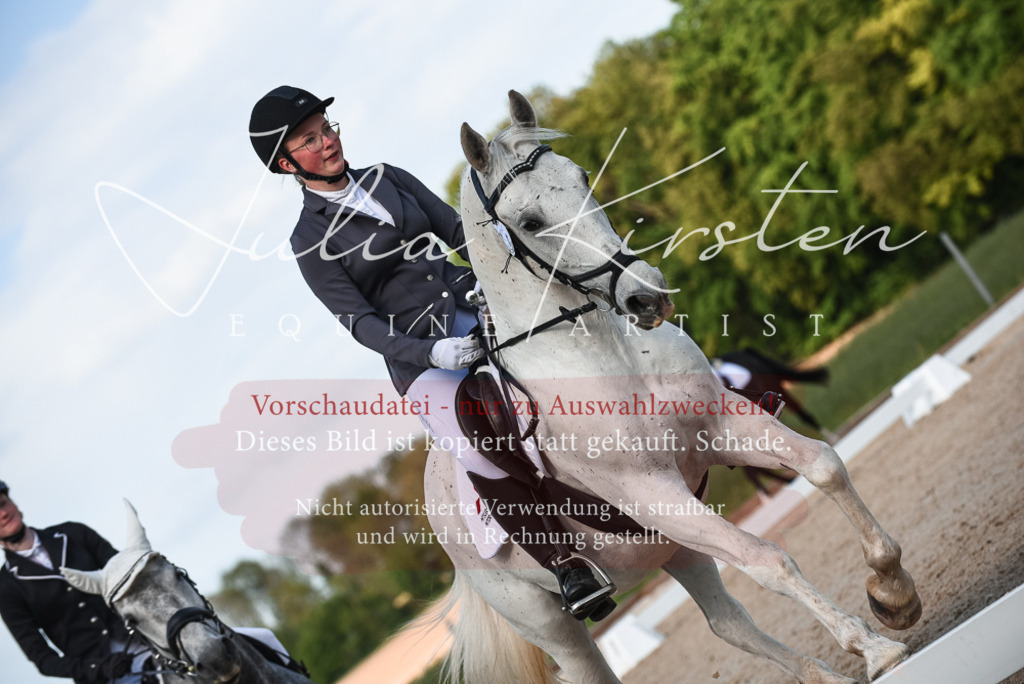 20230518_JK-Röhrsdorf-12-0821 | Pferde- und Turnierfotografie in Westsachsen. Pferdeportraits, Auftragszeichnungen und intuitive Kunst.