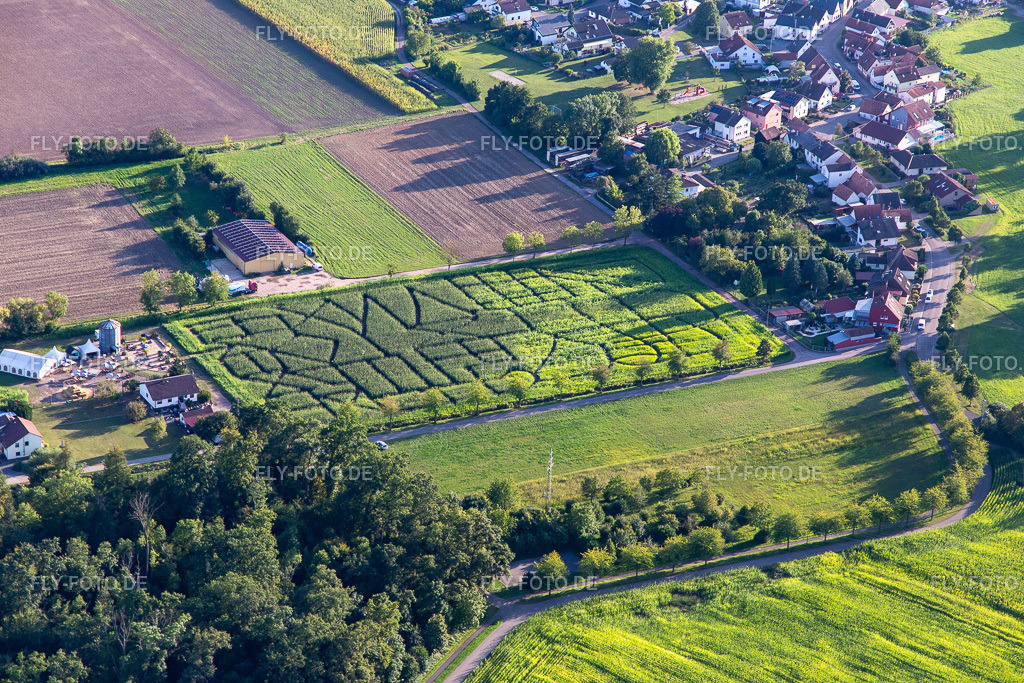 Maislabyrinth, Hochzeitslocation und Beachlounge Seehof https://www.maislabyrinth-steinweiler.de/ | Luftbild: Maislabyrinth, Hochzeitslocation und Beachlounge Seehof https://www.maislabyrinth-steinweiler.de/ in Steinweiler im Bundesland Rheinland-Pfalz in Deutschland. Foto: IMG_143250.jpg vom 25.08.2024 durch ©2025 Werner Riehm fly-foto.de/copyright - Realisiert mit Pictrs.com