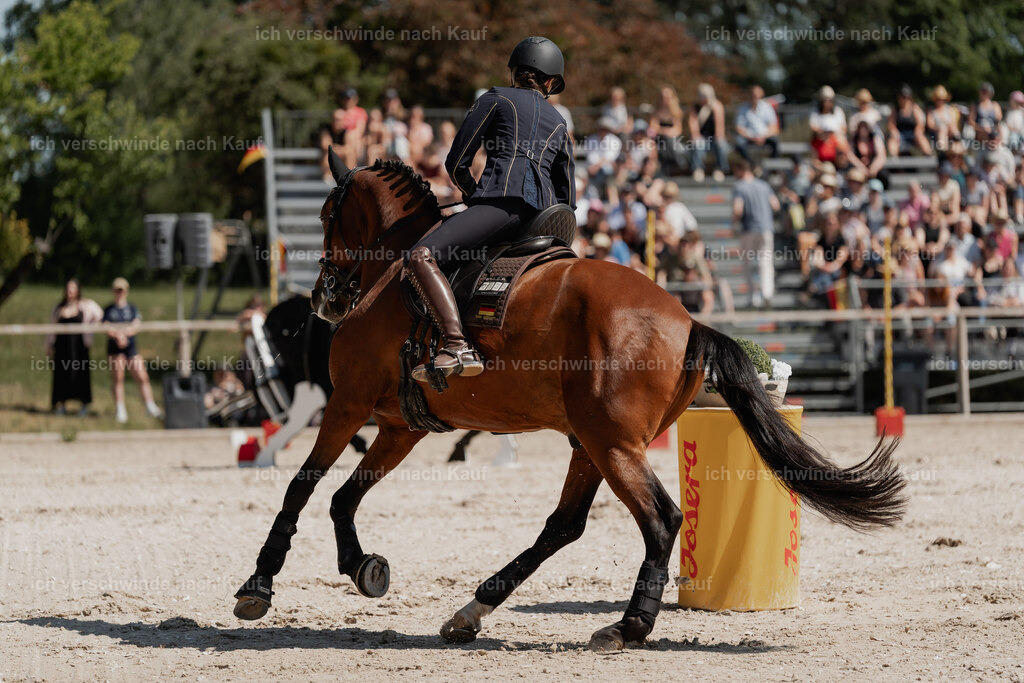 _DSC5441 | Pferd International München 2025