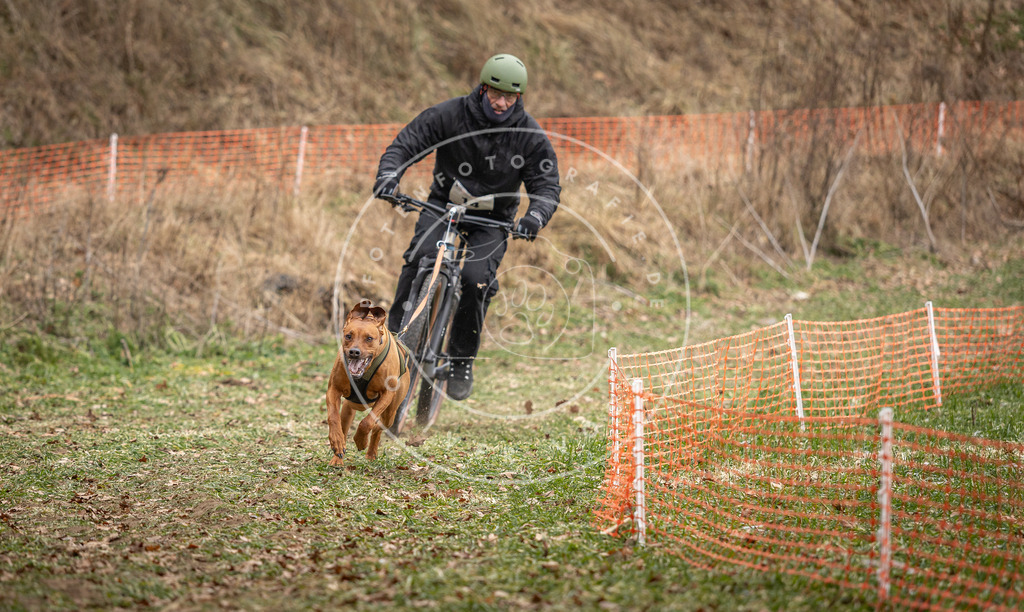 Pfotenfotografie_DV3A6811 | Hundefotografie, Tierfotograf, Pfotenfotografie, Fotoshooting Hund, Hunde Portrait, Hundesport, Hundeportraits, Heideshooting, Hunde, Sportfotograf, Hundefotograf, Turnierhundsport, THS,  - Realisiert mit Pictrs.com