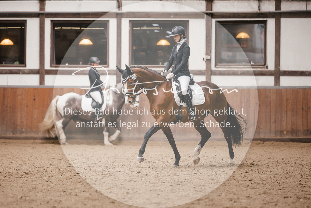 3I6A7512 | Stimmungsvolle Portraits und Reitsportfotografie im Ruhrgebiet und im Münsterland.

Pferdefotografie, Hundefotografie, Tierfotografie, Reportagen, Portraits von Tier und Mensch, Turnierfotografie in Bochum, Recklinghausen, Marl, Haltern am See, Dülmen.. - Realisiert mit Pictrs.com