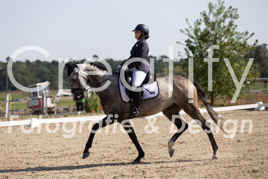 IMG_5454 | Creatify Fotografie