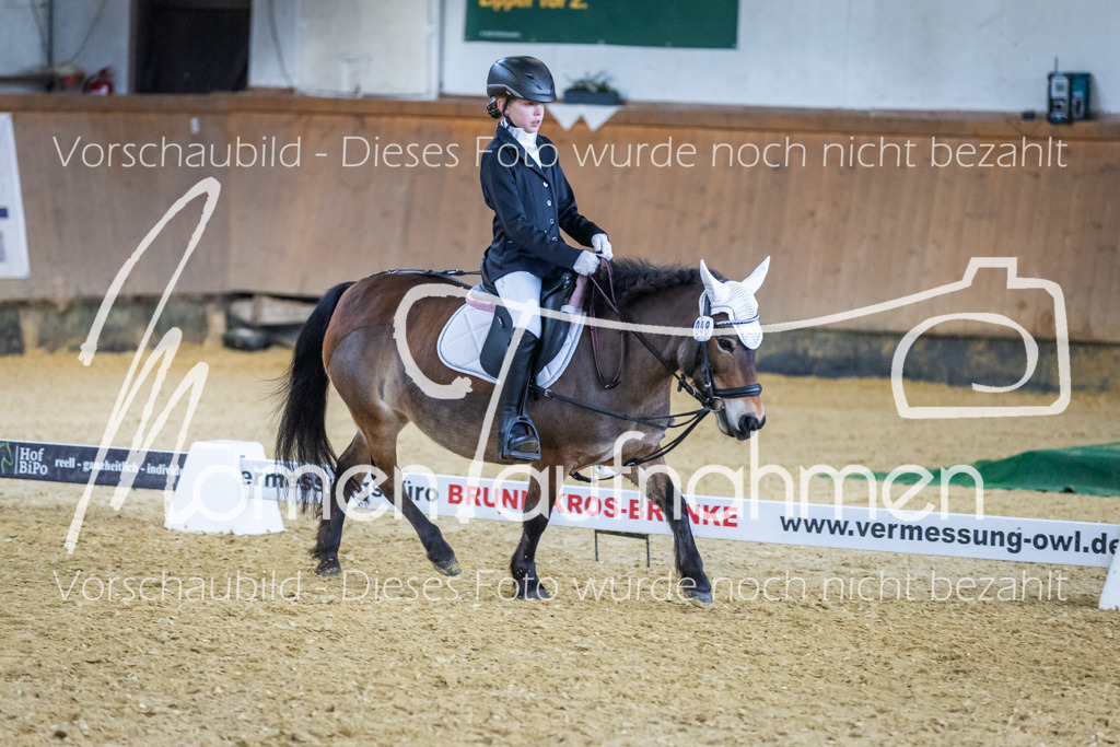 Sth-WBO25-RWBST-052 | MomenTaufnahmen Pferdesportfotos