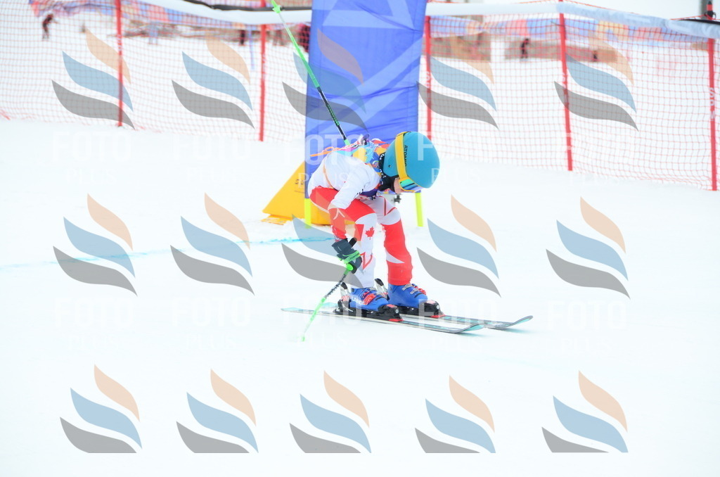 DSC_1694 | holidayphoto