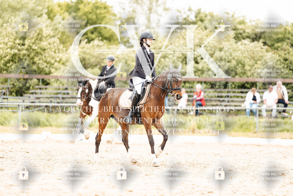 CK903570 | Turnierfotografie Pferdefotografie Trier Rheinland-Pfalz Pferdesport Reitsport Tierfotografie Sportfotografie Pferdevideo Pferdevideografie Equestrianvideography equestrianphotography  - Realisiert mit Pictrs.com