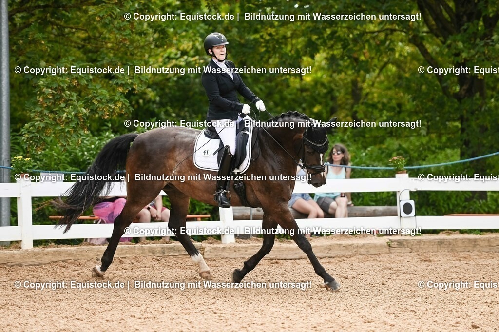 20230715_07_Dressurpferdeprfg. Kl.L_0105 | equistock