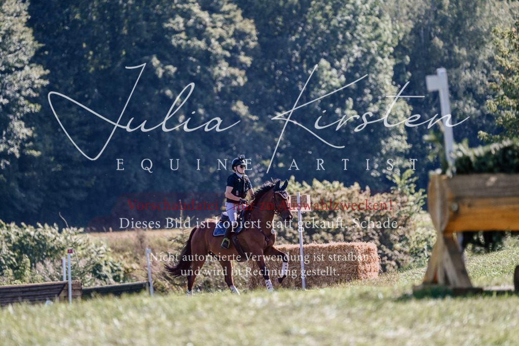 DSC_3355 | Pferde- und Turnierfotografie in Westsachsen. Pferdeportraits, Auftragszeichnungen und intuitive Kunst.