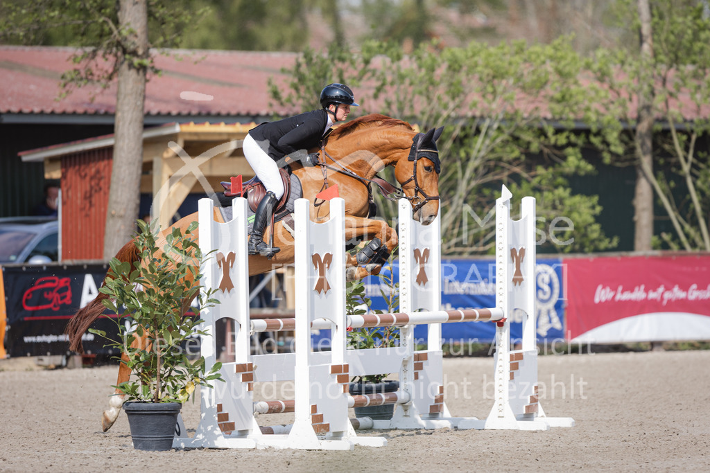 220426_Mühlen_SprPfA2-221 | Late Entry Mühlen
26.04.2022
02 Springpferde-A** 4-6j