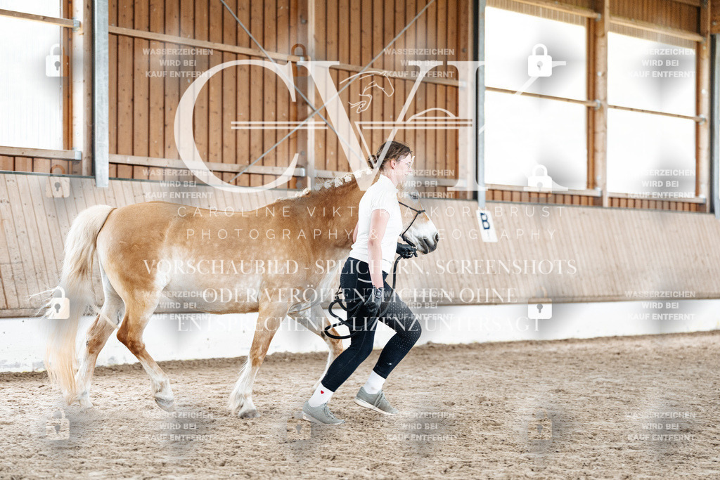 CK907875 | Turnierfotografie Pferdefotografie Trier Rheinland-Pfalz Pferdesport Reitsport Tierfotografie Sportfotografie Pferdevideo Pferdevideografie Equestrianvideography equestrianphotography  - Realisiert mit Pictrs.com