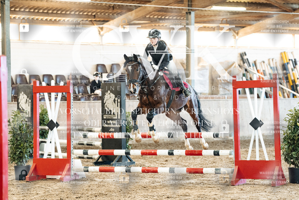 CK904532 | Turnierfotografie Pferdefotografie Trier Rheinland-Pfalz Pferdesport Reitsport Tierfotografie Sportfotografie Pferdevideo Pferdevideografie Equestrianvideography equestrianphotography  - Realisiert mit Pictrs.com