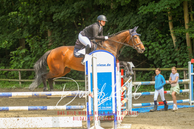 DKP45165 | Turniersportfotografie; Pferdefotografie; Dressurfotografie